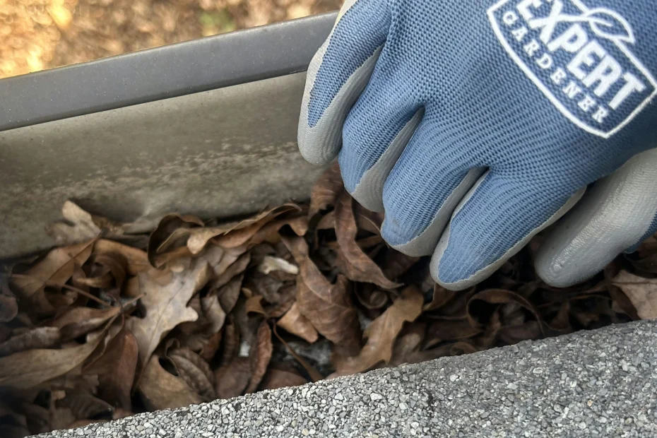 Gutter Cleaning East Point