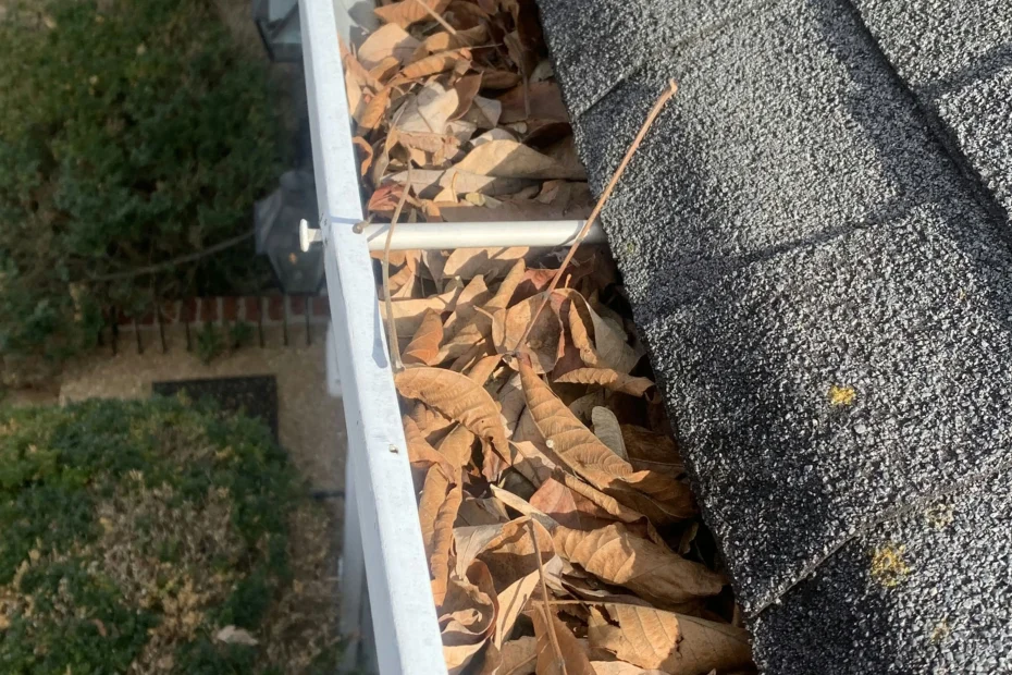 Gutter Cleaning East Point